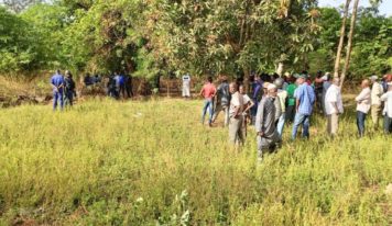 Mamou : deux décès en 48 heures, dus à des morsures de serpent