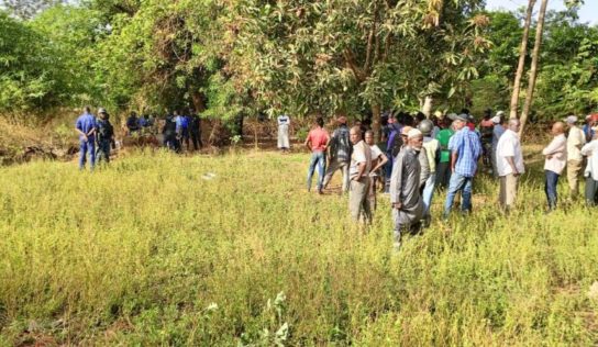 Mamou : deux décès en 48 heures, dus à des morsures de serpent